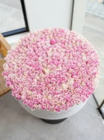 501-pink-roses-long-box-arrengement-flowers-in-belek-1.webp