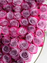purple-roses-long-boxes-arrengement-flowers-in-konyaalti-2.webp