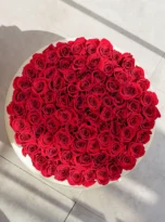red-roses-long-box-arrengement-flowers-in-evrenseki-1.webp